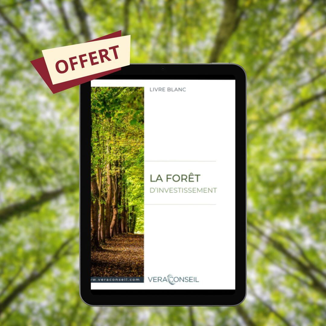 illustration_lbforet